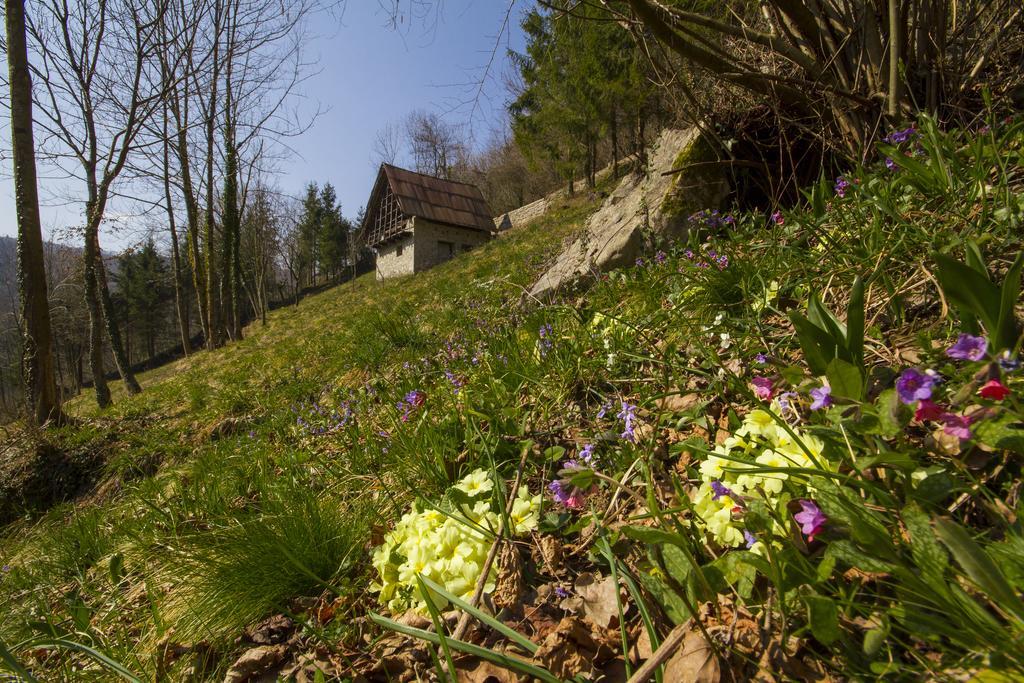 Casa Delle Noci Villa Grimacco Rom bilde