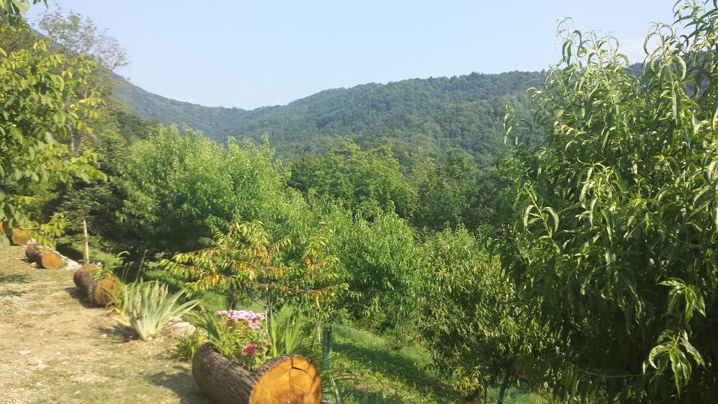 Casa Delle Noci Villa Grimacco Rom bilde