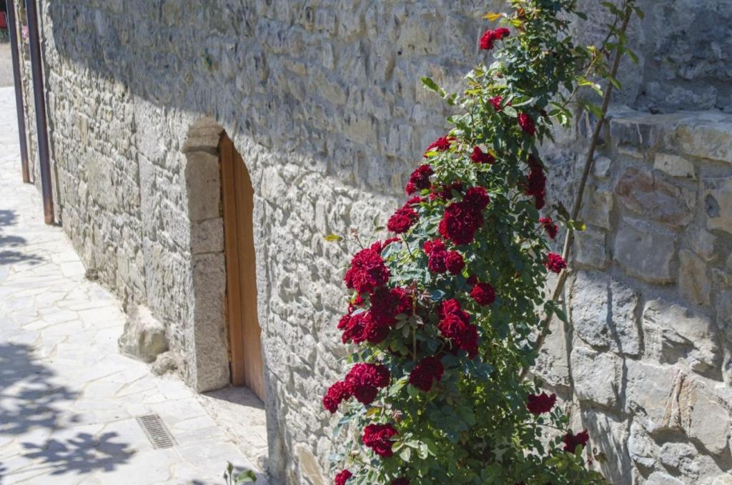 Casa Delle Noci Villa Grimacco Eksteriør bilde